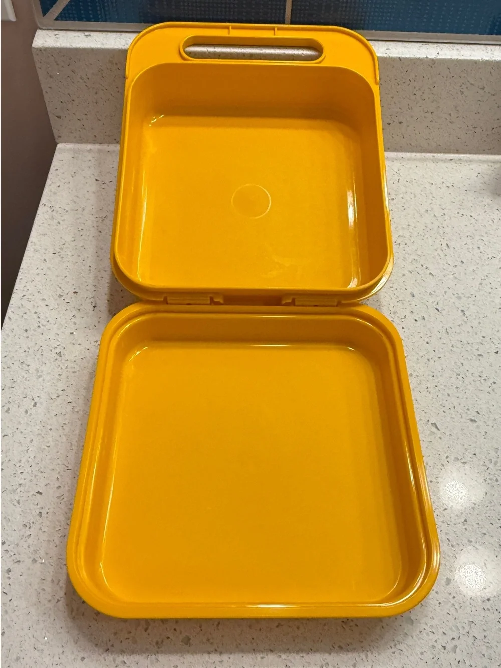 Vintage Tupperware lunch box